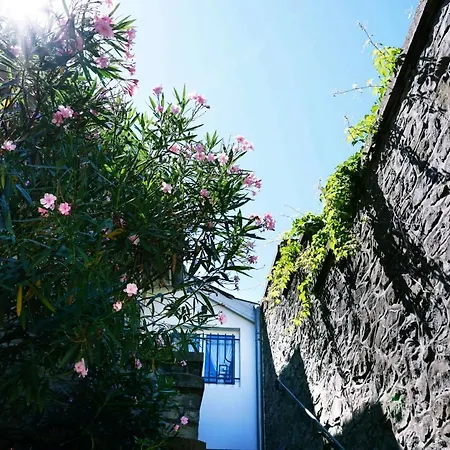 Appartement Mona Lisa Keyweek Duplex In Close To The Beach *